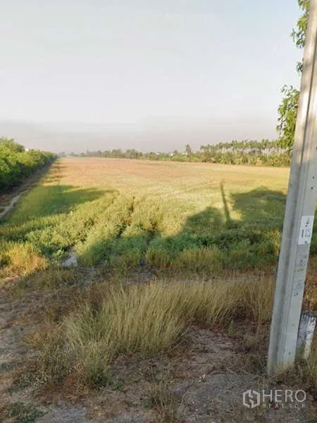 Land for sale in Bang Bua Thong, Nonthaburi - View of the wide plot from a roadside with a utility pole and grassy verge.