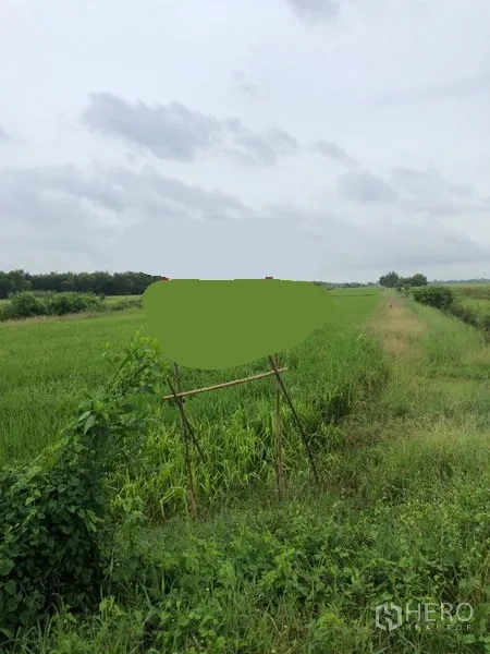 Land for sale in Wang Noi, Phra Nakhon Si Ayutthaya - Expansive green farmland with a drainage ditch under a cloudy sky in Wang Noi, Phra Nakhon Si Ayutthaya.
