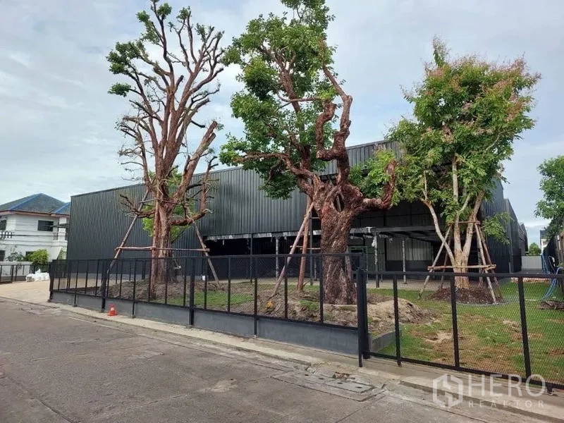 คลังสินค้า ให้เช่าในLat Phrao, Bangkok - คอมพาวด์โกดังพร้อมต้นไม้ใหญ่และสนามหญ้าหลังรั้วสีดำ.