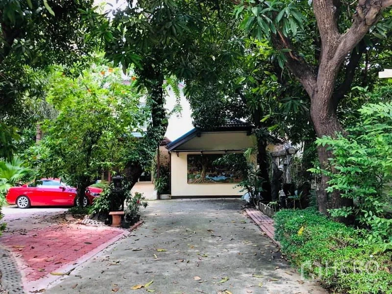 บ้าน ให้เช่าในKhlong Toei, Bangkok - ทางเข้าบ้านที่มีต้นไม้ใหญ่ให้ร่มเงาและพื้นที่จอดรถ