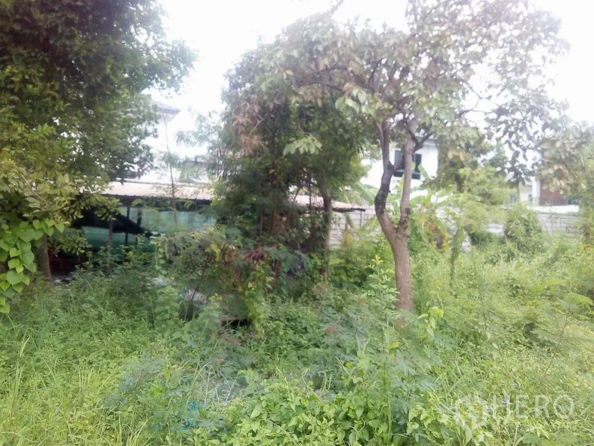 ที่ดิน ขายในKhlong Sam Wa, Bangkok - มุมร่มเงาของแปลง มีต้นไม้และพืชพรรณหนาทึบ