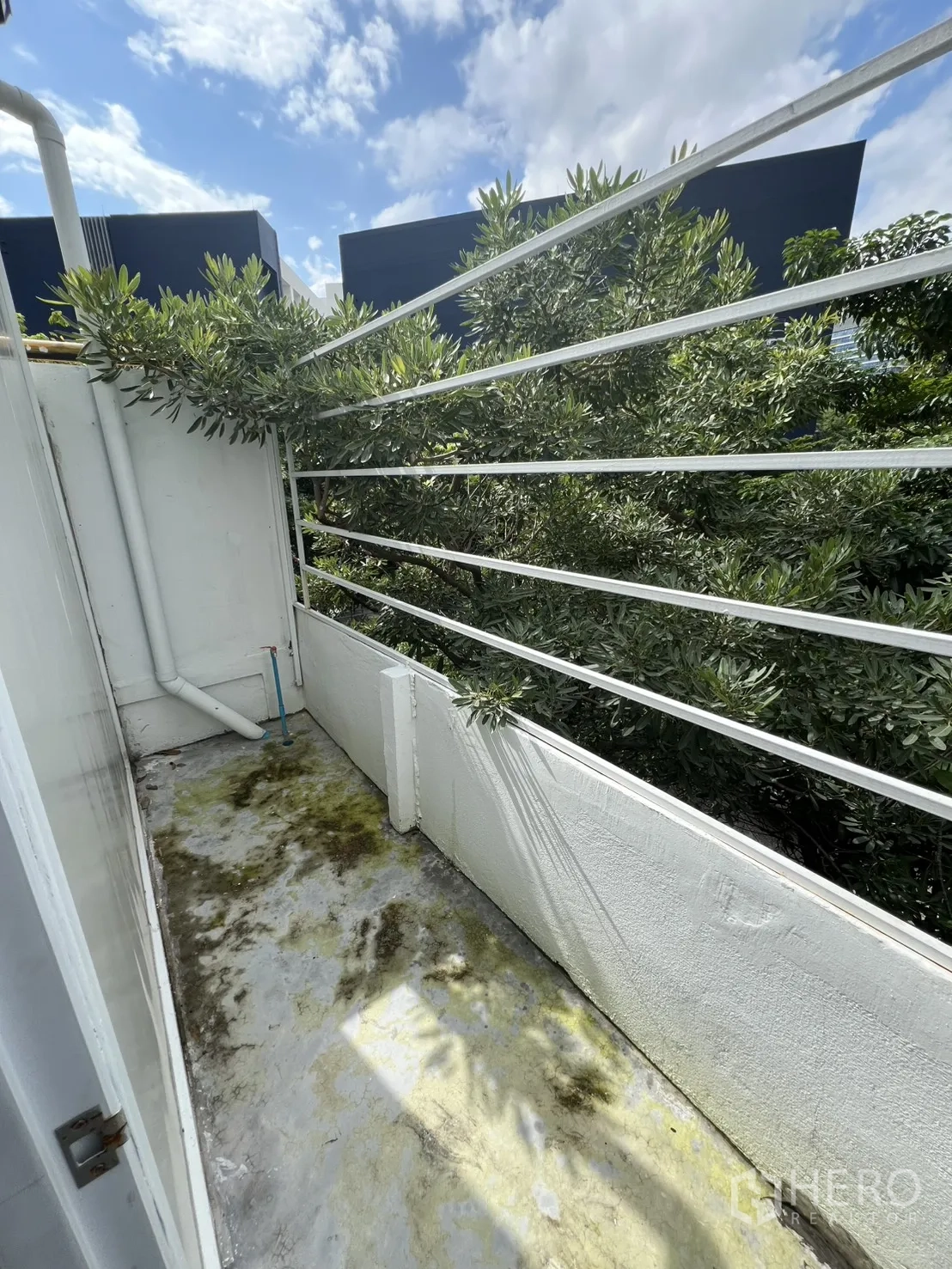 อาคารพาณิชย์ ให้เช่าหรือขายในKhlong Toei, Bangkok - ระเบียงขนาดเล็ก มีราวกันตก มองเห็นต้นไม้และท้องฟ้า