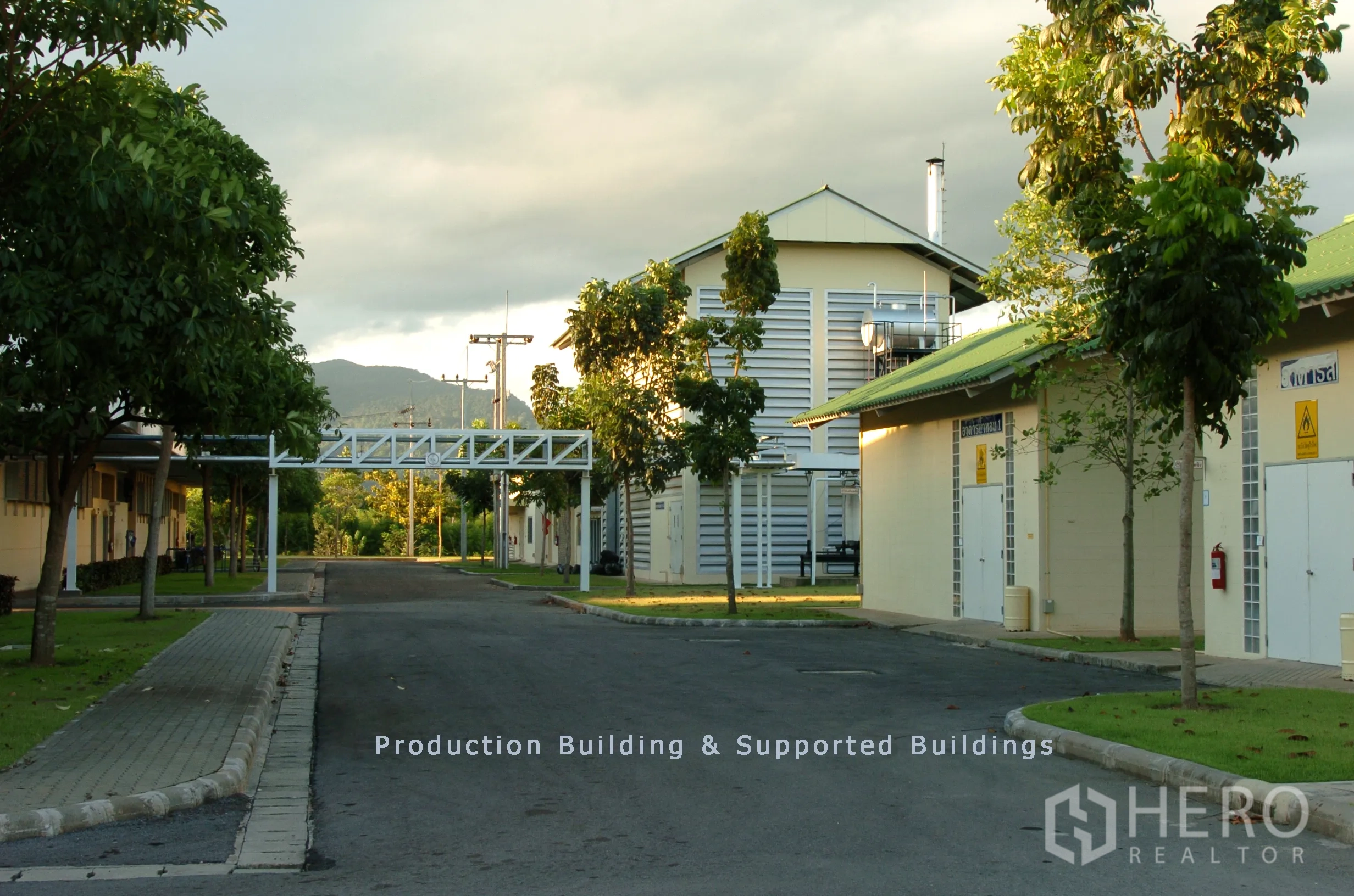 工厂 for sale in Khao Chamao, Rayong - 厂区内部林荫道路，连接生产与公用设施楼，设有管廊跨桥。