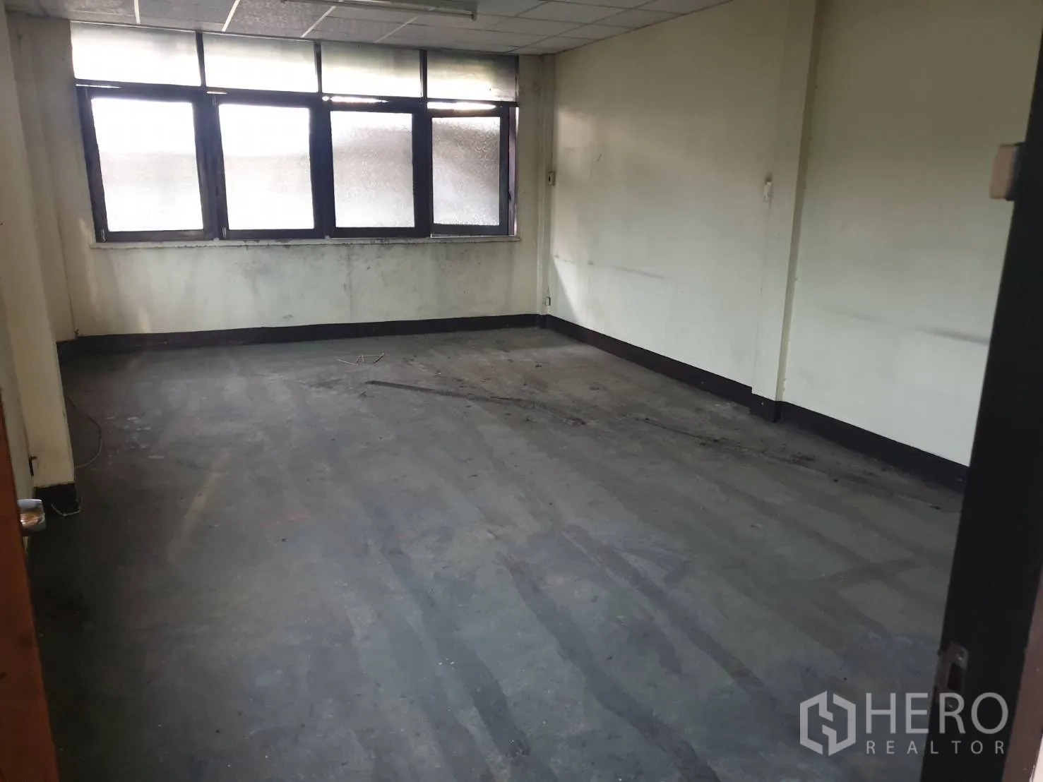 อาคารพาณิชย์ ให้เช่าในPhra Khanong, Bangkok - ห้องเปิดโล่งมีหน้าต่างกระจกฝ้าบานใหญ่และฝ้าเพดาน รับแสงธรรมชาติ