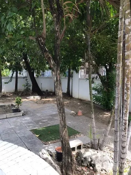 บ้าน ให้เช่าในPhra Khanong, Bangkok - สวนด้านข้างร่มเงามีทางเดินปูกระเบื้องและรั้วรอบขอบชิดสีขาว