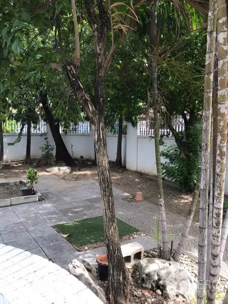 บ้าน ให้เช่าในPhra Khanong, Bangkok - สวนด้านข้างร่มเงามีทางเดินปูกระเบื้องและรั้วรอบขอบชิดสีขาว