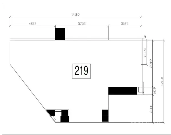 零售空间 出租 - 219号商铺平面图，展示不规则开放式布局与尺寸标注。