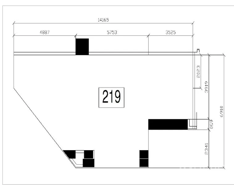 零售空间 出租 - 219号商铺平面图，展示不规则开放式布局与尺寸标注。