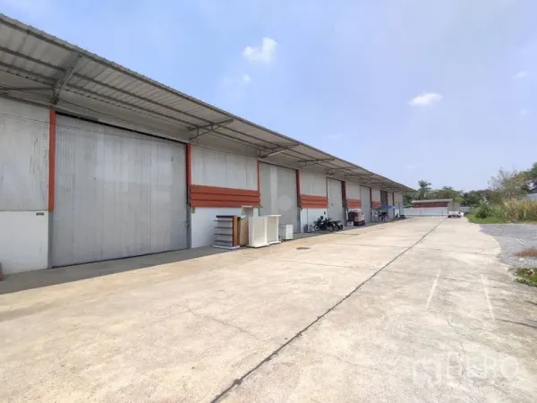 คลังสินค้า ให้เช่าในPathum Thani - แถวโกดังพร้อมประตูม้วนขนาดใหญ่ ชายคาโหลด และลานคอนกรีตกว้าง