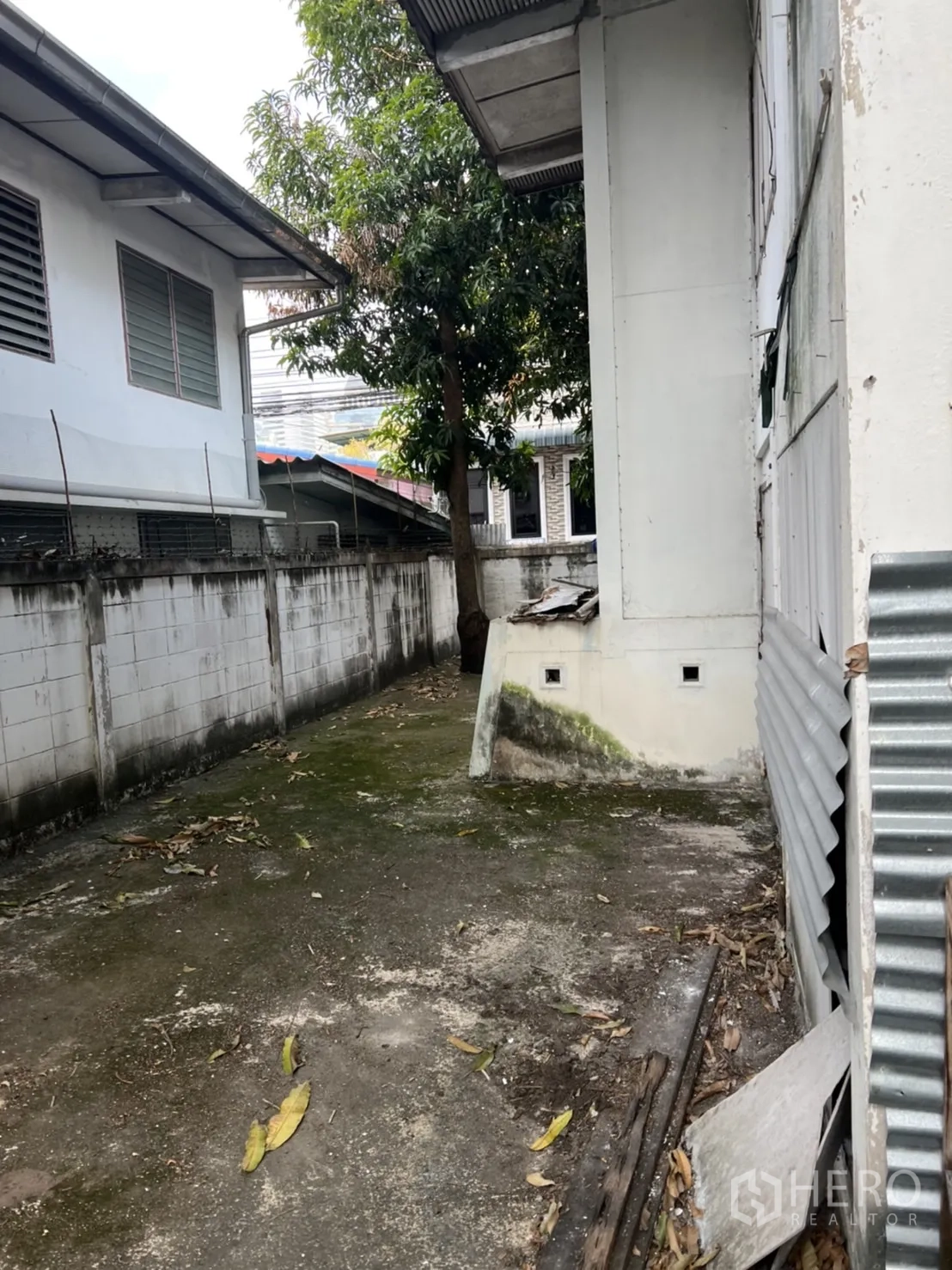 บ้าน ให้เช่าในSathon, Bangkok - ด้านข้างบ้าน พื้นคอนกรีต กำแพงรอบที่ดิน และต้นไม้ใหญ่